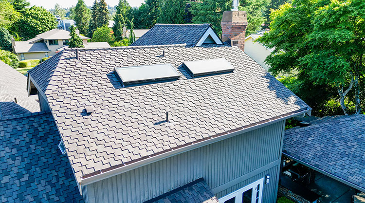 Close up view of roof with skylights for Cedar Conversion to Asphalt Shingle Roof in Bellevue, Washington